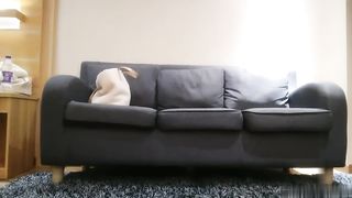 【69堂精品视频】午夜尋花約炮女仆裝初戀女神給你初戀女友感覺