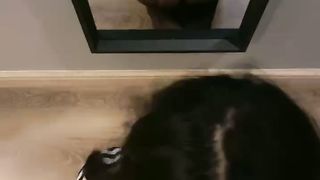 【69堂免费视频】新人下海美女！酒店开房操逼！半脱下内裤摸穴