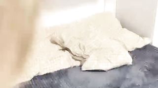 【69堂免费视频】清纯甜美有点羞涩卡哇伊萌妹子道具自慰啪啪