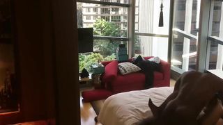 【69堂免费视频】携黑人兄弟3P燕京平面嫩模轮番上阵爆操，场面淫荡刺激