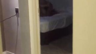 【69堂午夜视频】黑料吃瓜-34岁骚逼人妻小柔婚后兼职妓女卖逼又勾引他人男友被人拴着脖子当狗一般操