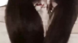 【69堂午夜视频】黑料吃瓜-放下底线快速变现昆明文理学院环境设计专业乖巧嫩妹严依祎刚下海就开单伺候金主被曝光