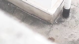 【69堂午夜视频】黑料吃瓜-保定定州凤翔园饥渴的一对小情侣在天台野战站立后入跪地口交太投入被拍无察觉后入顶臀视频流出