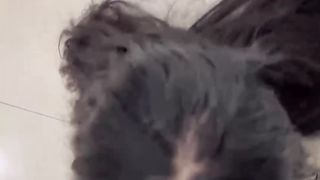 【69堂午夜视频】酒店落地窗前狂操爱喷水的姐姐，挑战全网30岁女性最美骚逼，内射不满又柔弱的样子迷死人，就是不知道有没有被楼下的人听见！